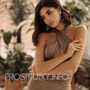 Шлюха Нарьяна 22740