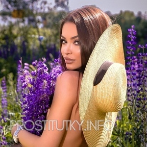 Шлюха Мила 27939