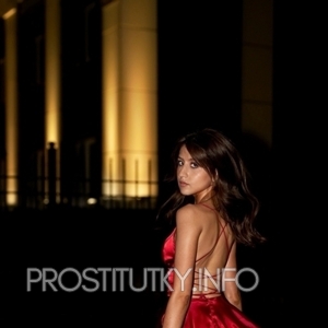 Шлюха Ника 31340